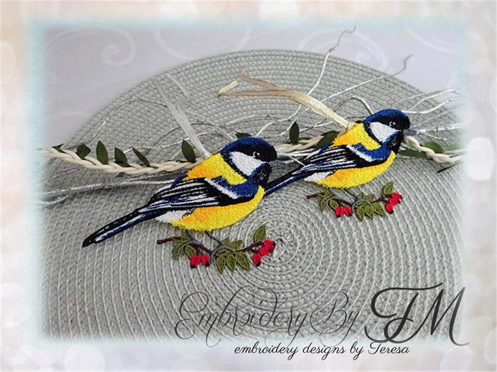 Blue Tit bird / two sizes