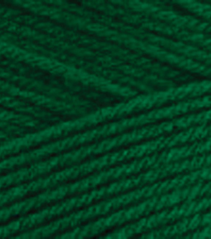 Caron One Pound Yarn - Kelly Green