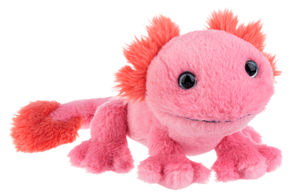 Ganz 13" Pinkachu Axolotl