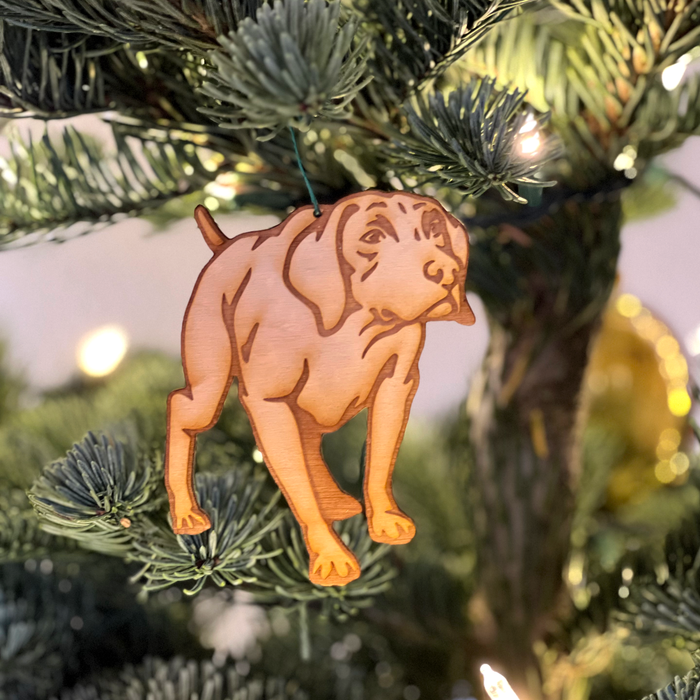 GSP Ornament