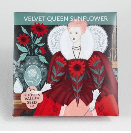 SEED PACKET VELVET QUEEN SFLWR