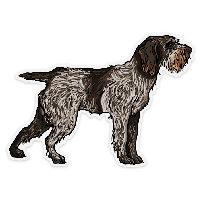 Spinone Italiano Decal Sticker