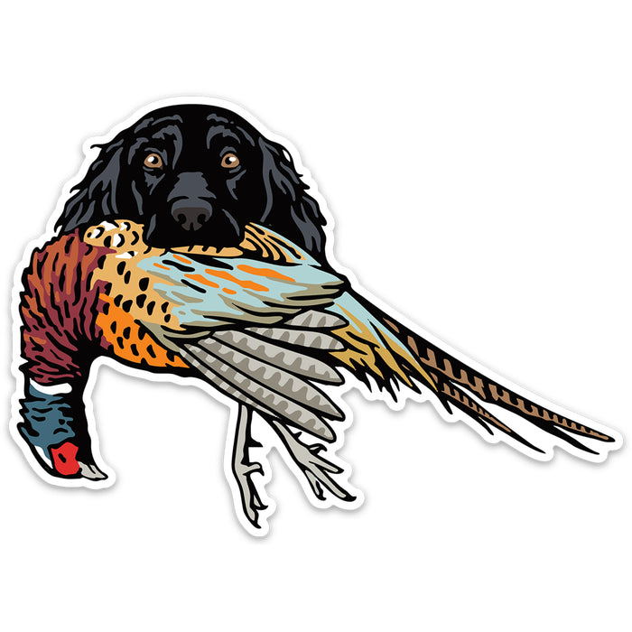 |Cocker Spaniel with a Pheasant