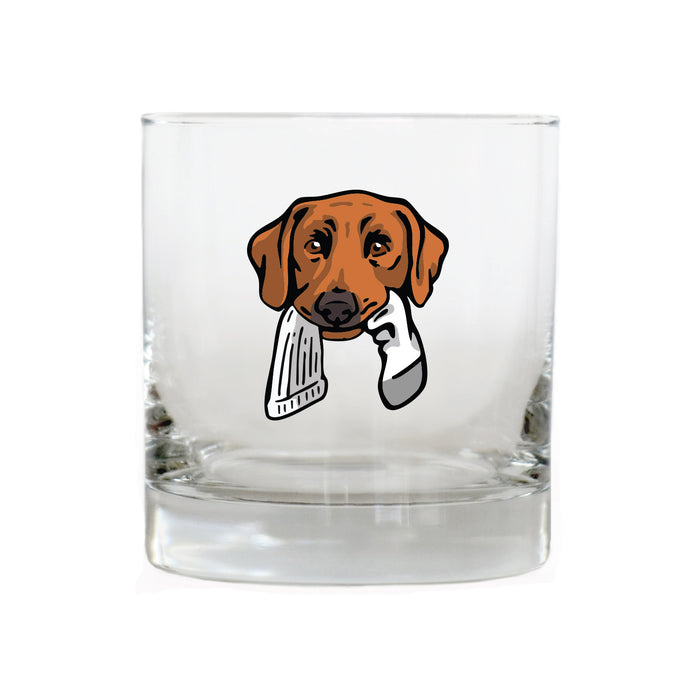 Red Lab with a Sock