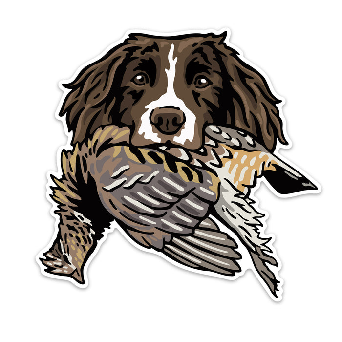 |Springer with a Ruffed Grouse