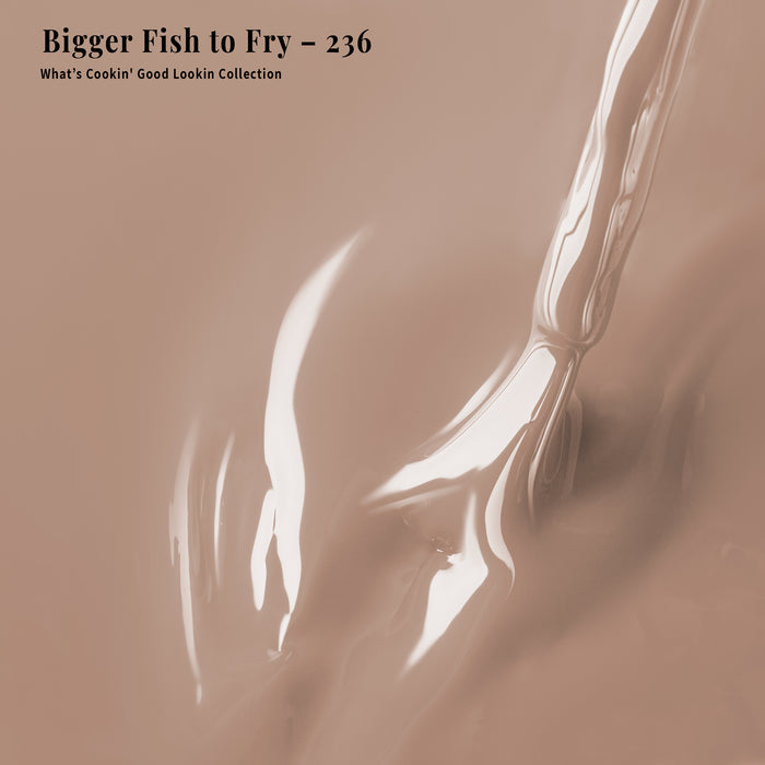 4-in-1 Bigger Fish to Fry - 236