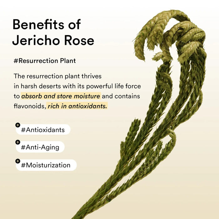 Abib Collagen Eye Patch Jericho Rose Jelly 60pcs