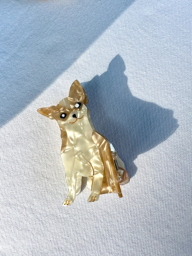 Chihuahua