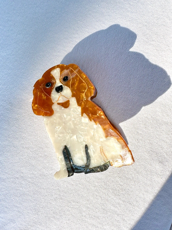 King Charles Spaniel