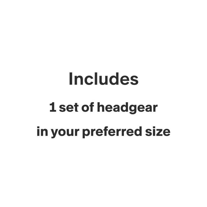 AirFit P10 Headgear