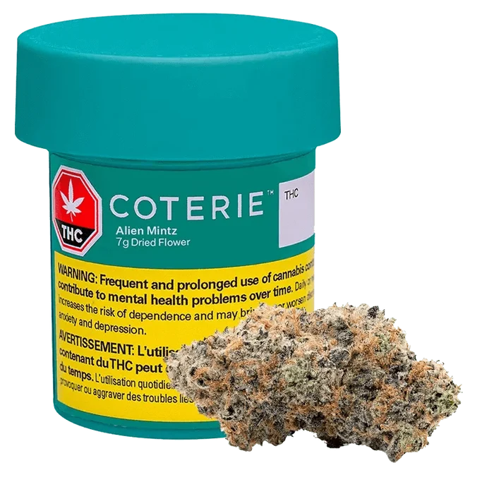 Front view of the Coterie Alien Mintz packaging against a black background, featuring bold text and branding.