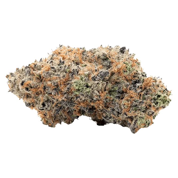 Close-up shot of the Alien Mintz bud, displaying a detailed view of its textured surface and green coloration.
