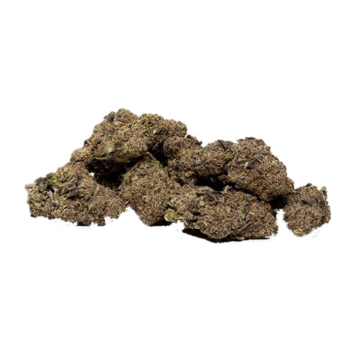 Andromeda is shown in a close-up, top-down view with a textured, dark surface and a slightly irregular shape.