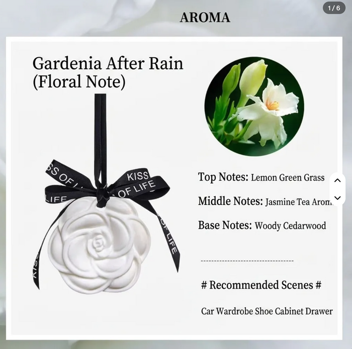 Aroma Air Freshener