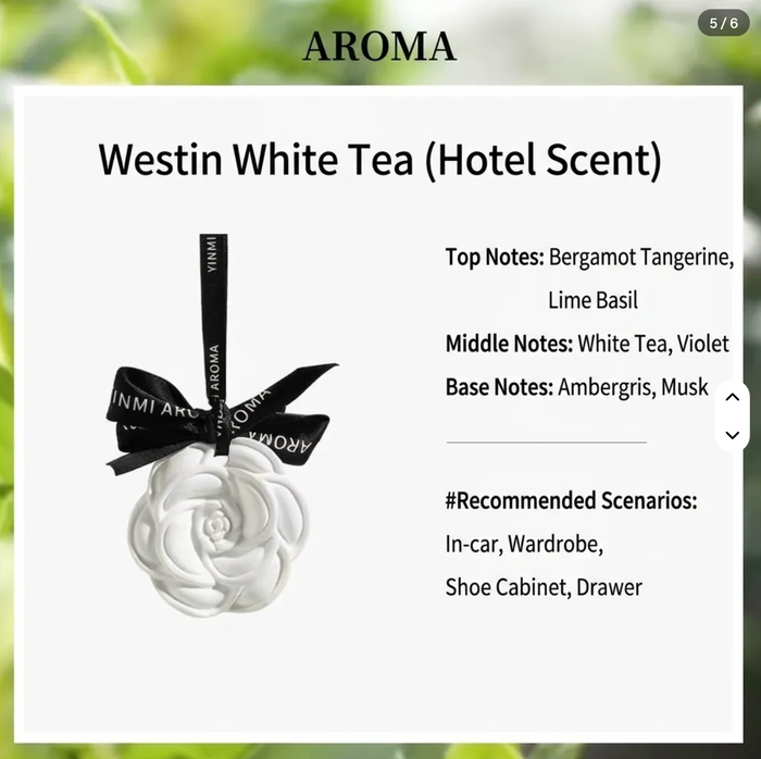 Aroma Air Freshener