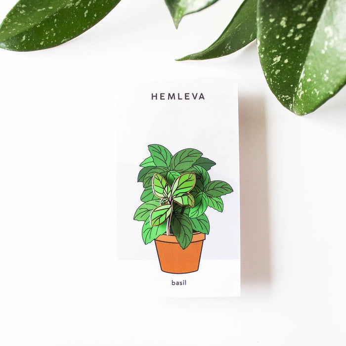 Basil enamel pin on card with green basil plant in a terracotta pot