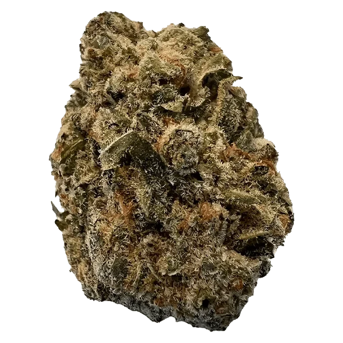 Close-up of the BC Purple Kush bud with textured surface, photographed against a neutral background.