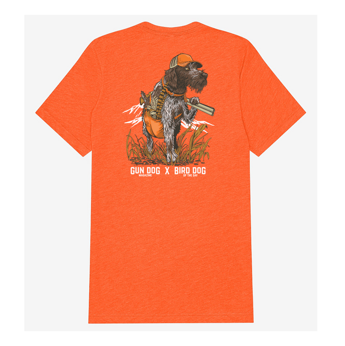 |Blaze Orange