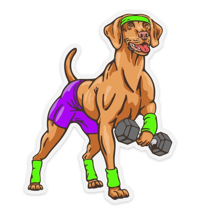 Bird Dog Training Decal Sticker