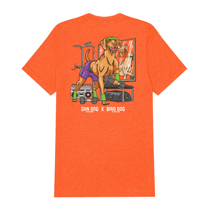 |Blaze Orange