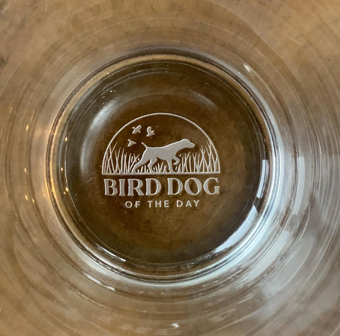 Bird Dogs Forever Pint Glass