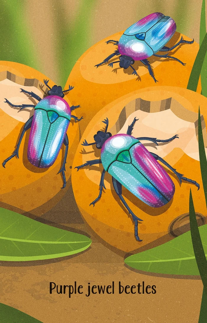 Bug Snap Cards