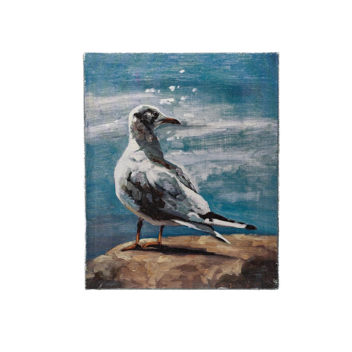 Canvas Wall Décor with Seagull - Madison's Niche