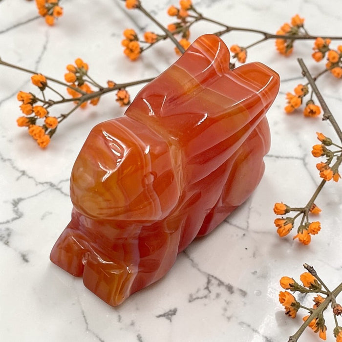 Carnelian Crystal Bunny