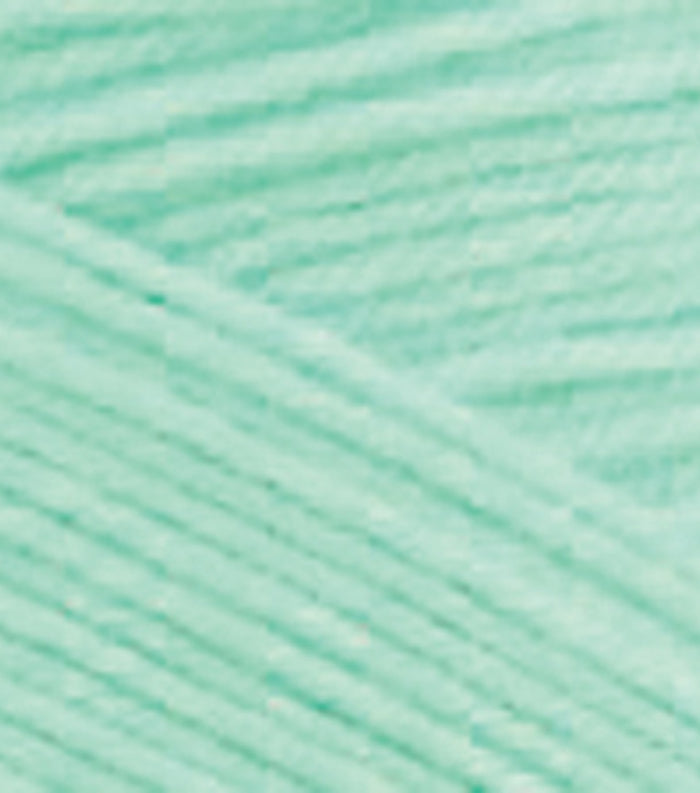 Caron One Pound Yarn Pale Green - artcovecrafts.com