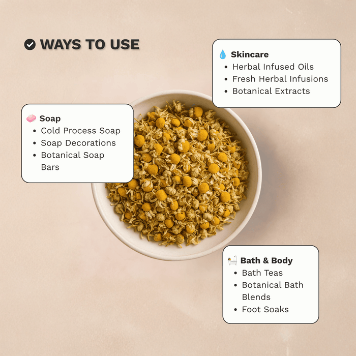 Infographic showing common skincare, bath and soap making uses for Organic Dried Chamomile Flowers
