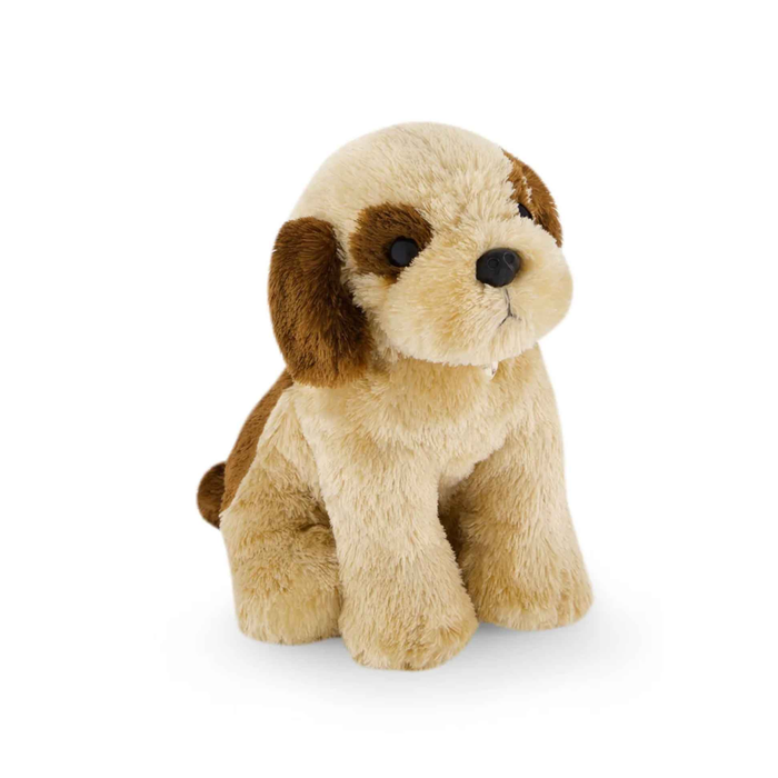 Coco The Shih Tzu