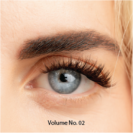Volume No. 02