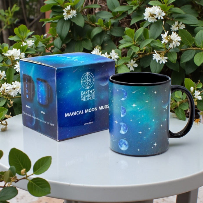 Mug - Moon Phase