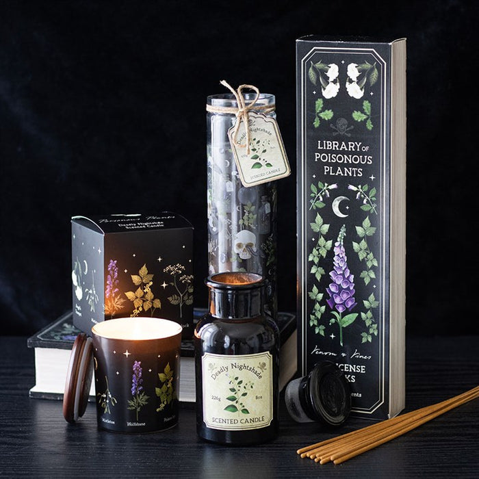 Deadly Nightshade Candle 🇬🇧