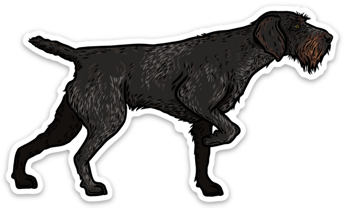 Deutsch-Drahthaar Decal Sticker