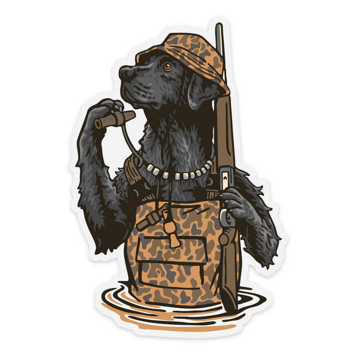 |Black Labrador