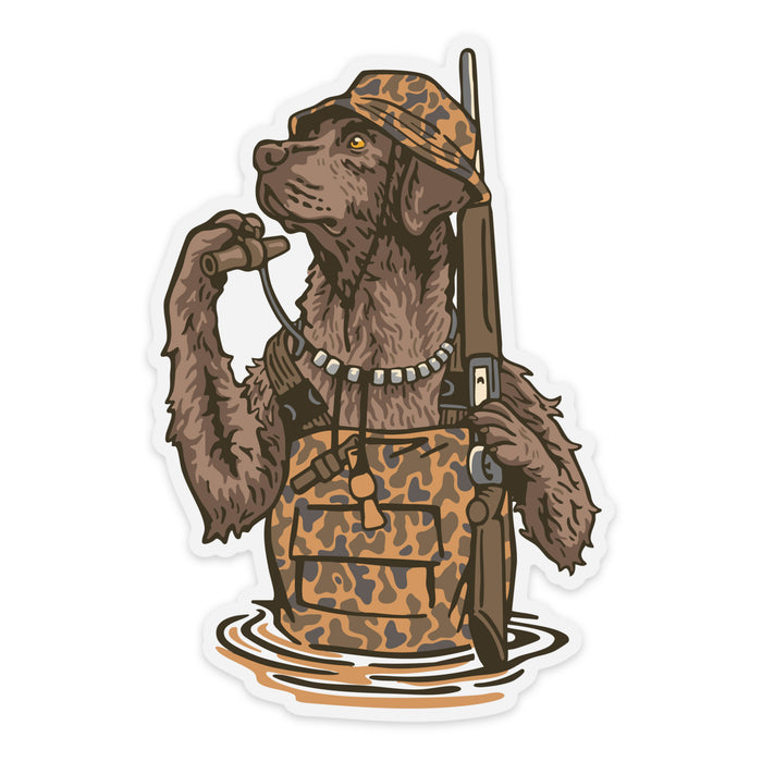 |Chocolate Labrador