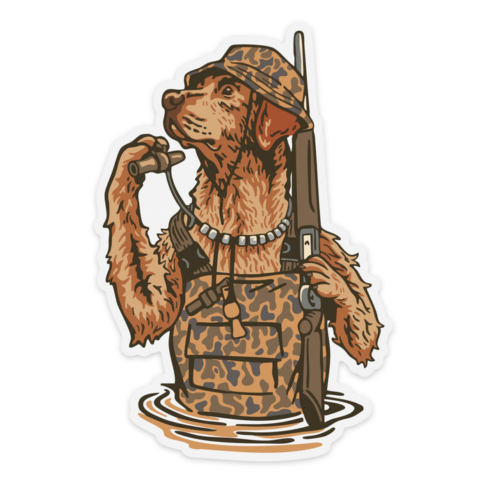 |Red Labrador