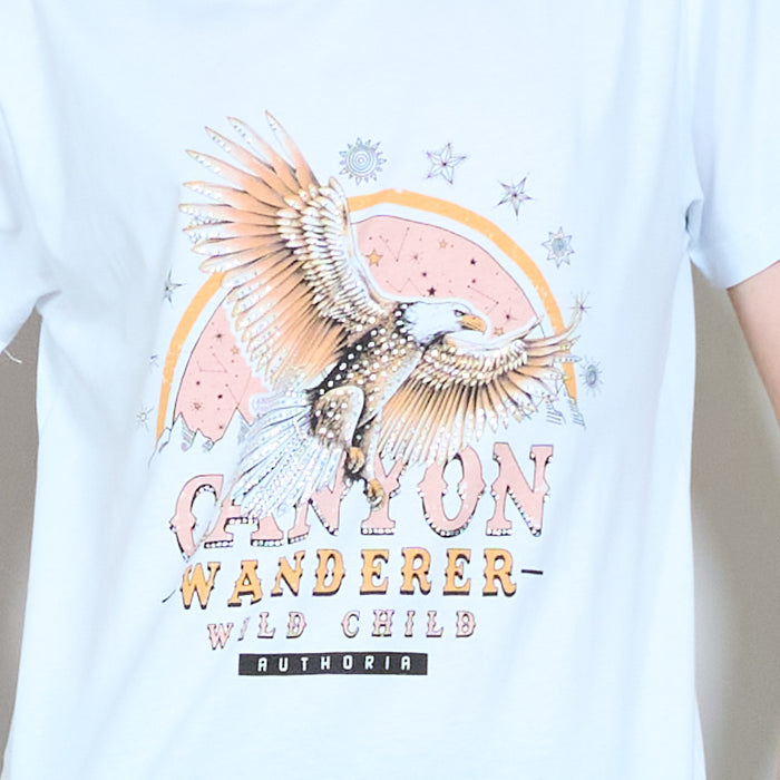 Eagle graphic slogan t-shirt wholesale