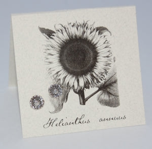 EARRINGS: SUNFLOWER STUD, SILVER