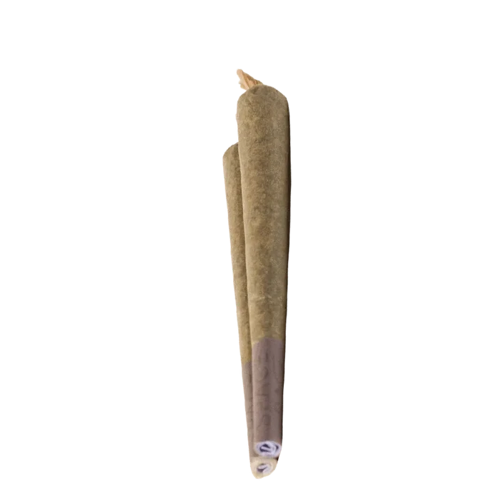 Front view of the Endevour Pre Rolled 2 x 1 g, showing two pre-rolled joints with visible bands and a slightly angled perspective.
