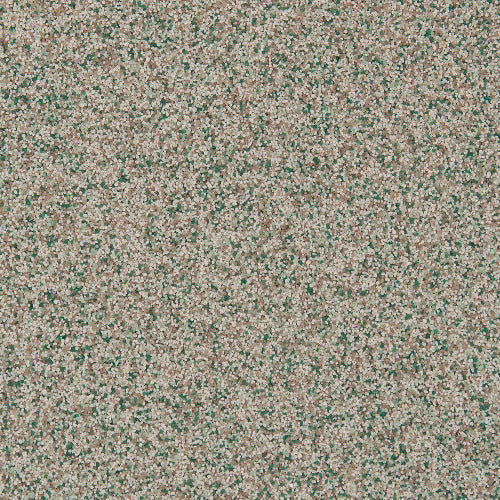 Avocado (QB-1022)