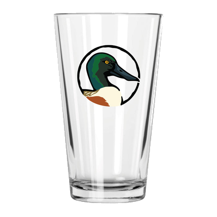 Northern Shoveler
