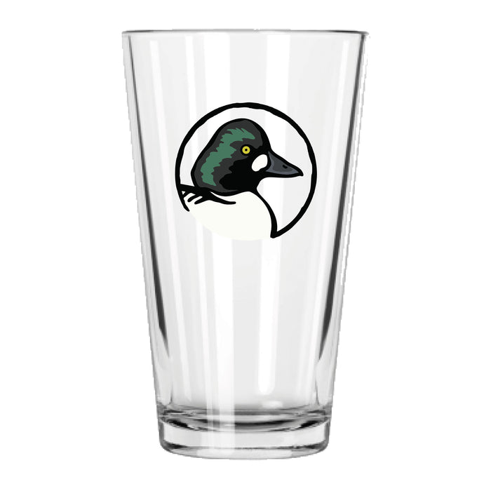 Common Goldeneye