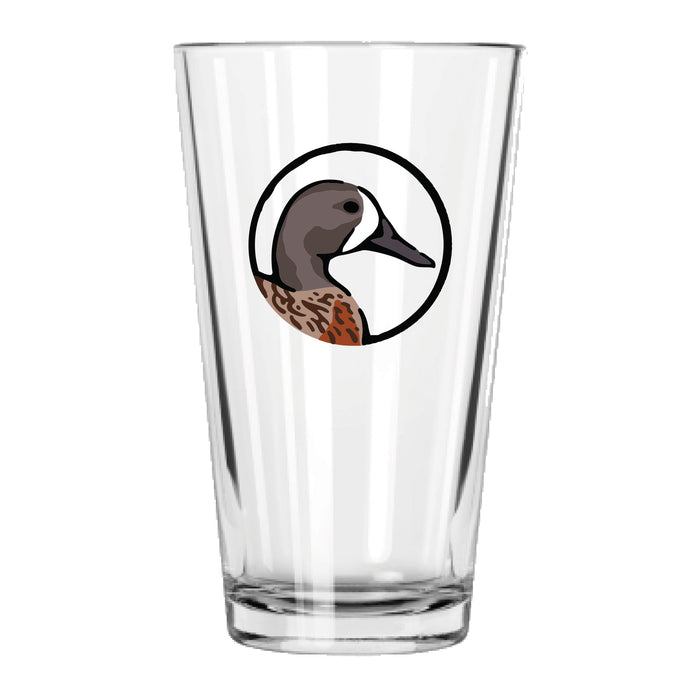 Blue Winged Teal