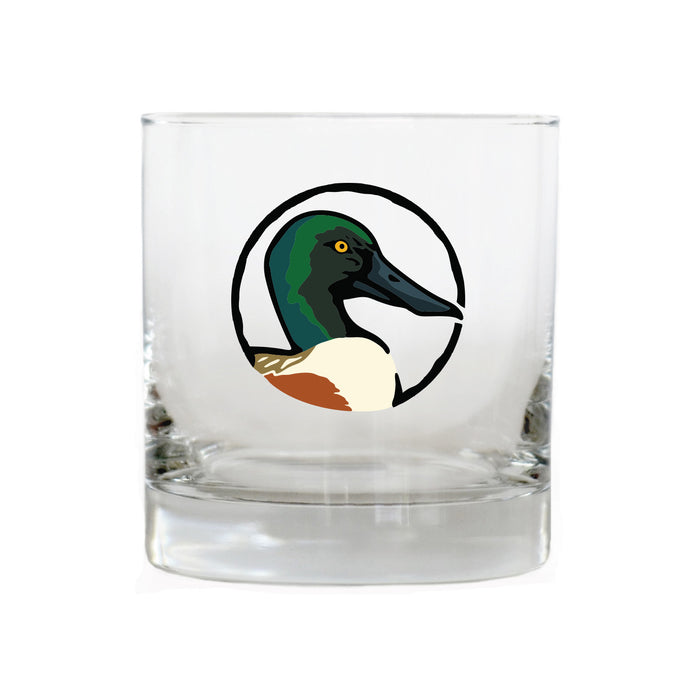 Northern Shoveler