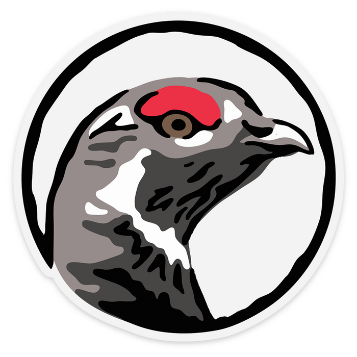 Spruce Grouse