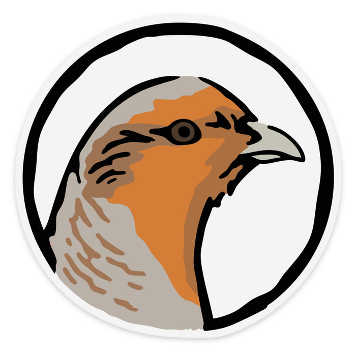 Hungarian Partridge