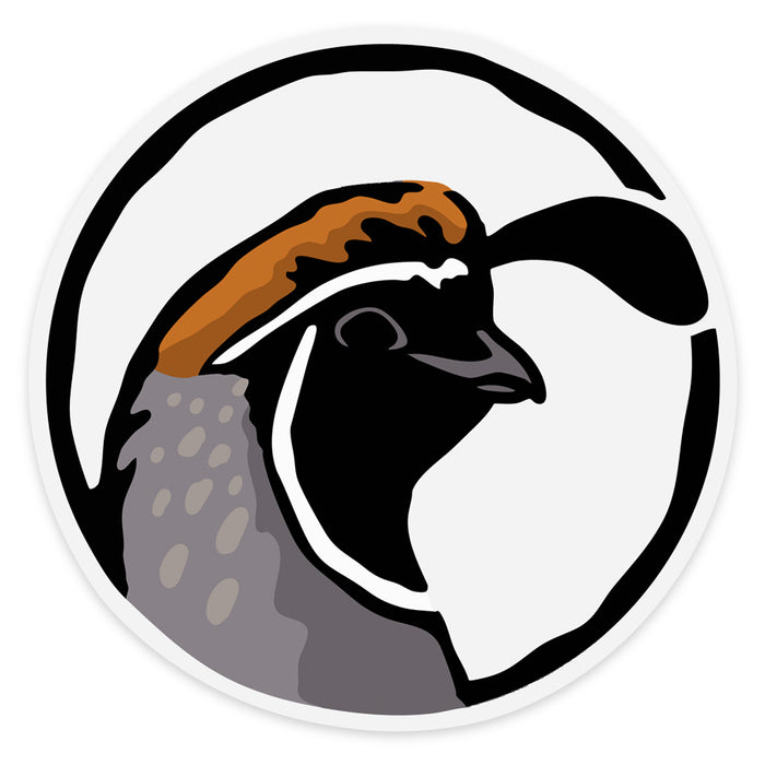 Gambel's Quail