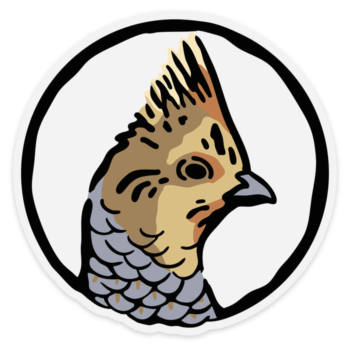 Scaled Quail